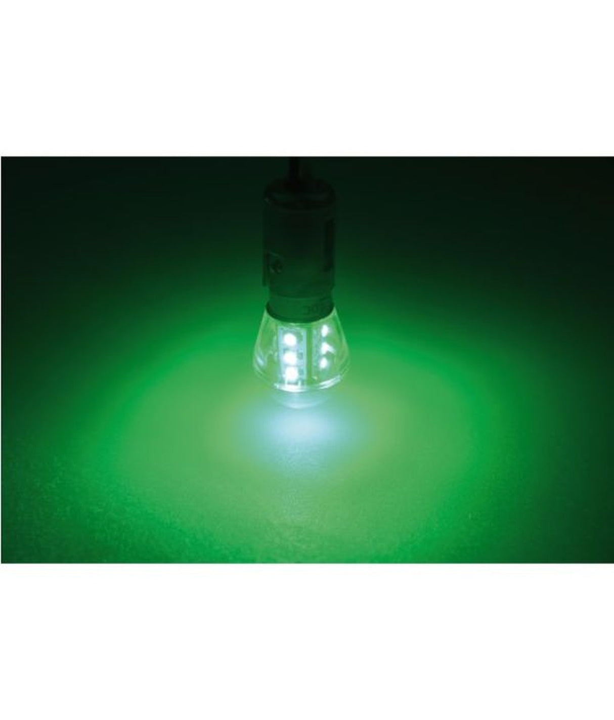 Talamex LED-lamp LED15 10-30V BAY15D groen