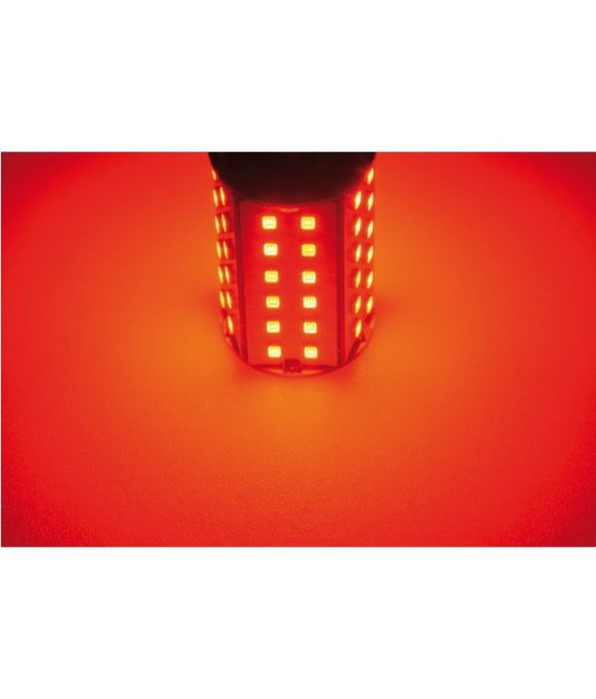 Talamex ledlamp LED60 10-30V BAY15D rood – CE en RoHS