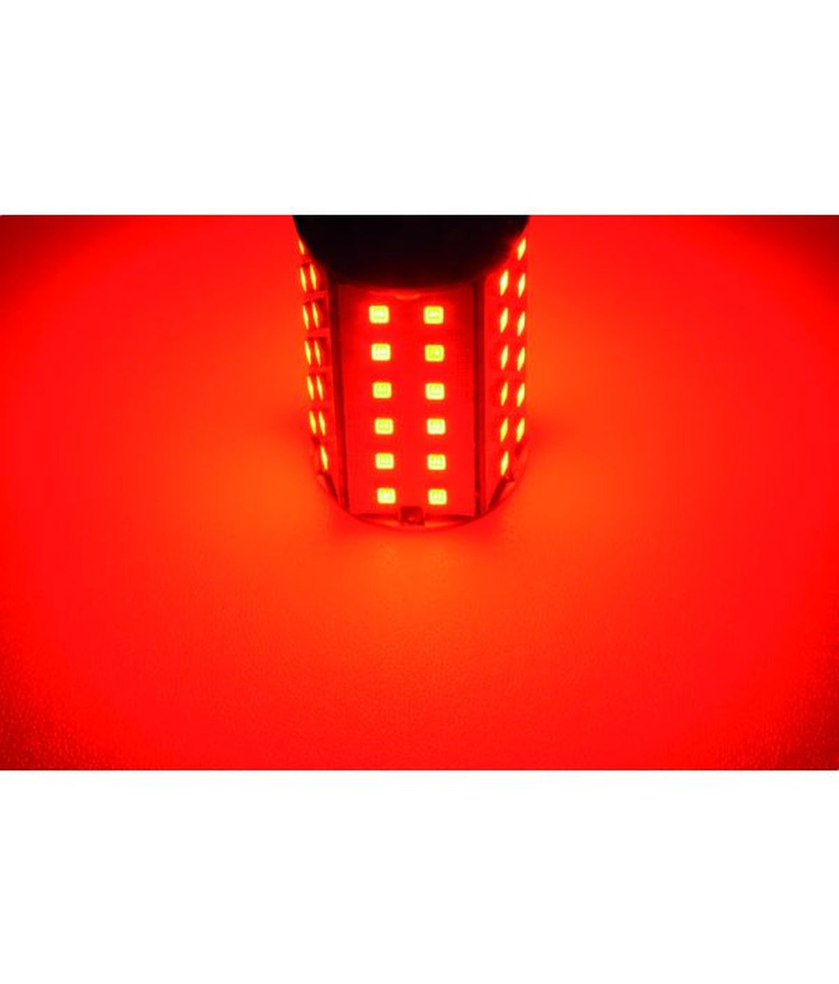 Talamex ledlamp LED60 10-30V BAY15D rood – CE en RoHS