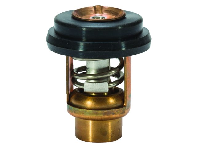 8M0186873 Thermostaat 25-30pk