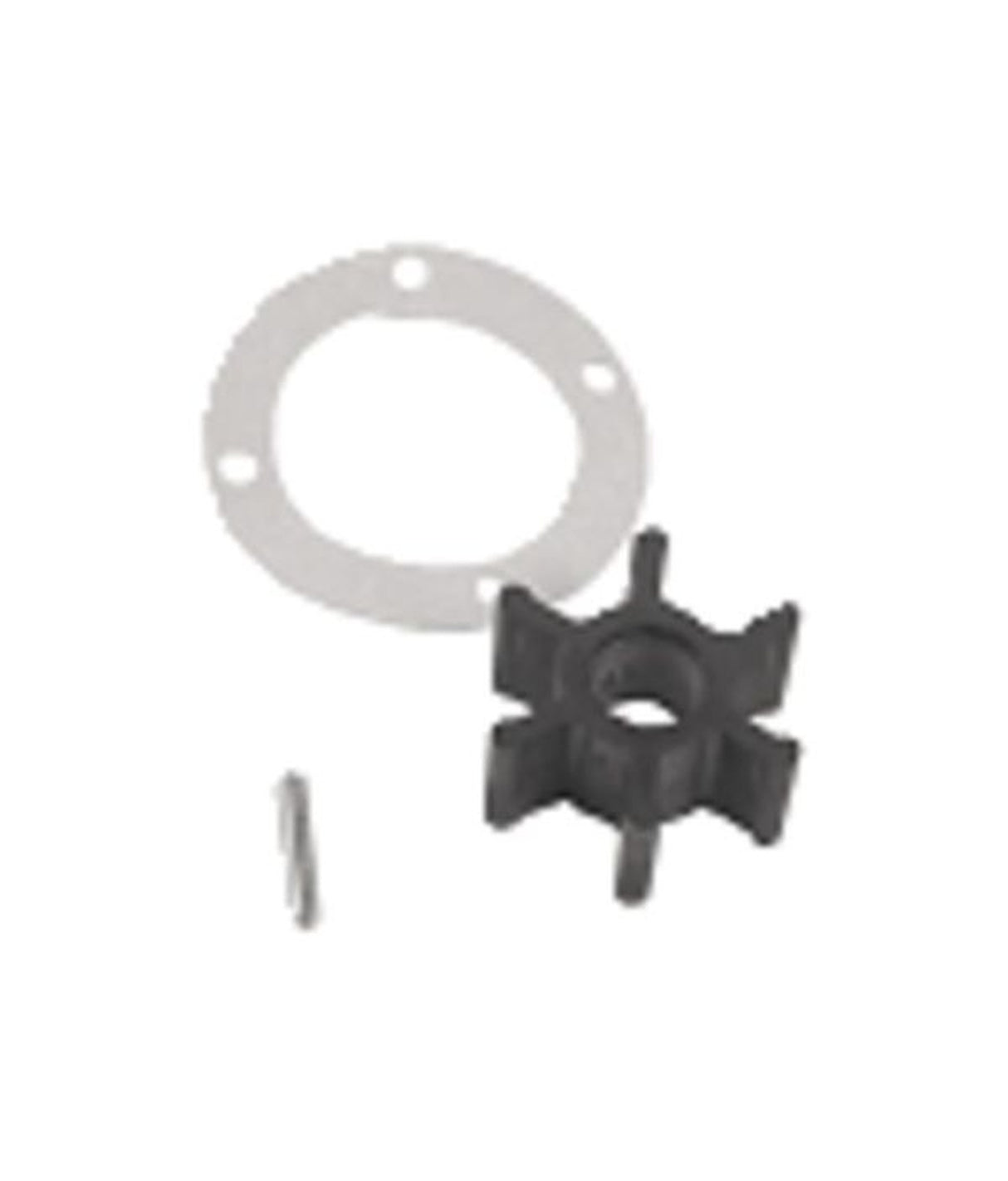 Talamex Nitrile palier d'impulseur intérieur à broche avec joint et boulon 17200200