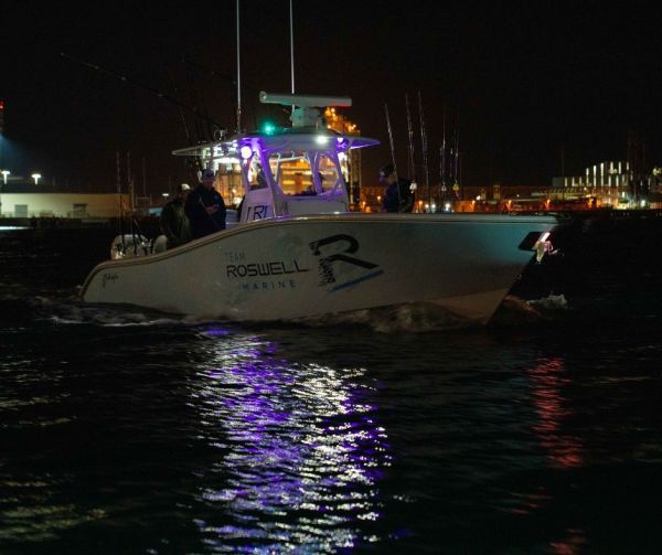 Roswell R1 Firefly 6.5 (16.51 cm) Tower Speakers Black