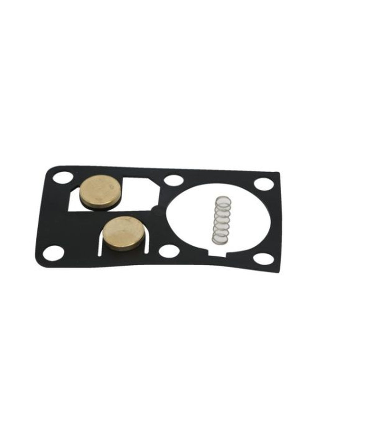 Talamex Top valve gasket with spring 80115162