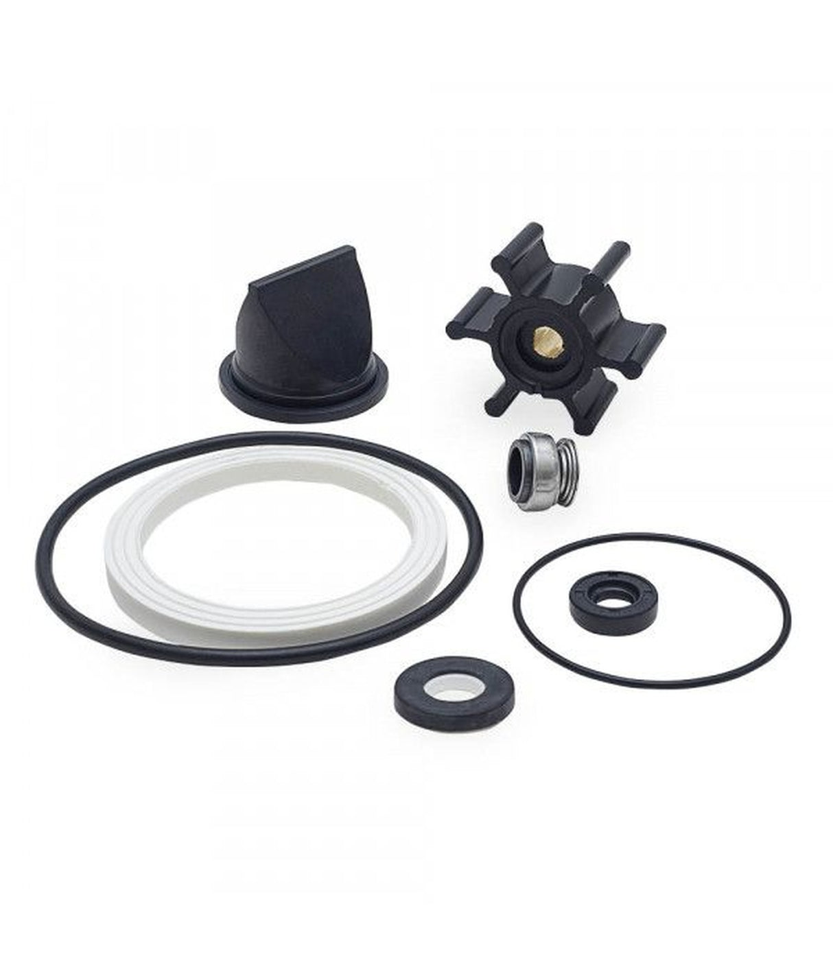 Albinus gasket set EVO 80116283