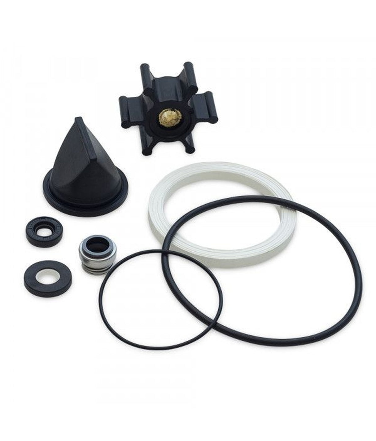 Albinus gasket set EVO 80116283