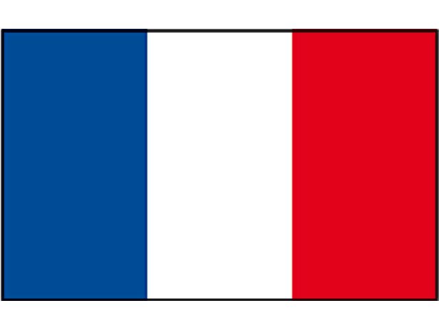 Franse vlag 100x150