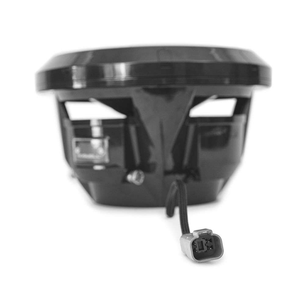 Roswell R1 10 subwoofer Black – 250W RMS 4Ω mounting depth 12.9 cm