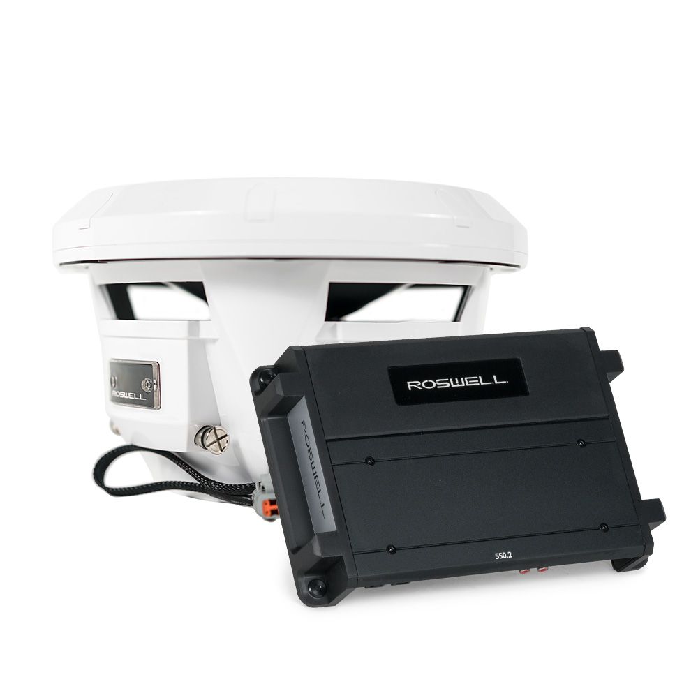 Roswell R1 10 subwoofer package 25.4 cm – set with R1 550.2 amplifier