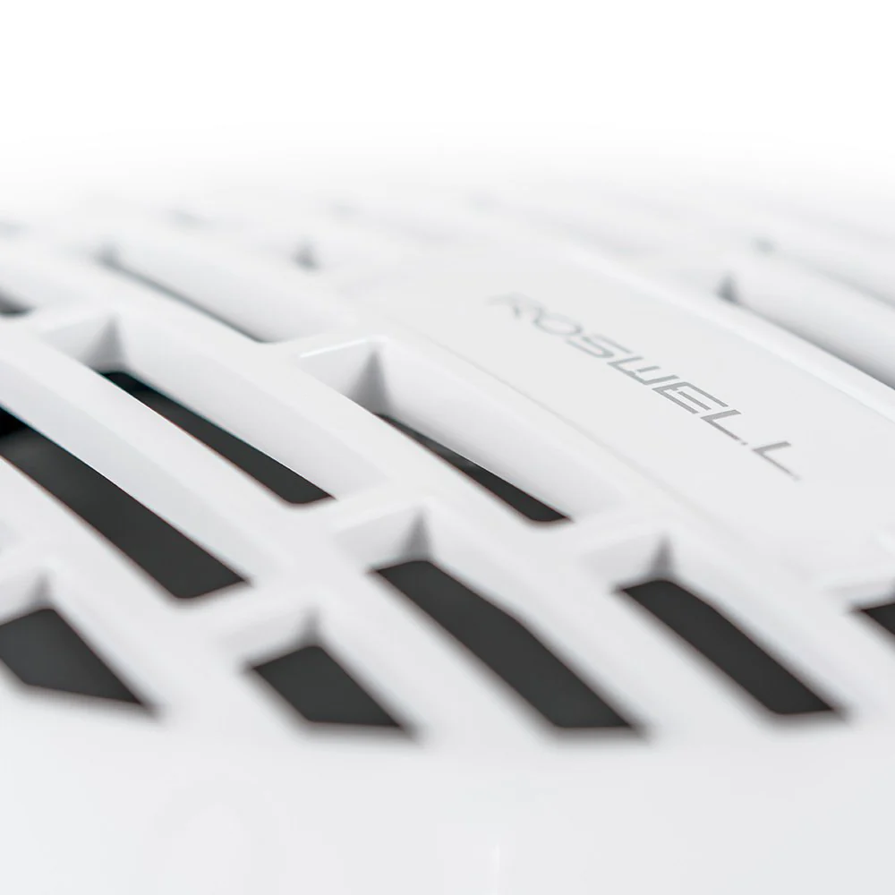 Roswell R1 10 subwoofer package 25.4 cm – set with R1 550.2 amplifier