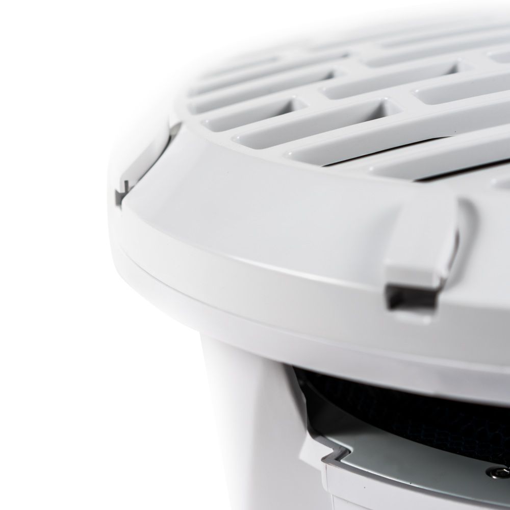 Roswell R1 10 subwoofer package 25.4 cm – set with R1 550.2 amplifier