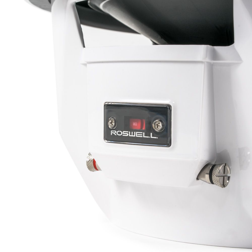 Roswell RMA 10 (25.4 cm) subwoofer package with R1 550.2 Marine Amplifier