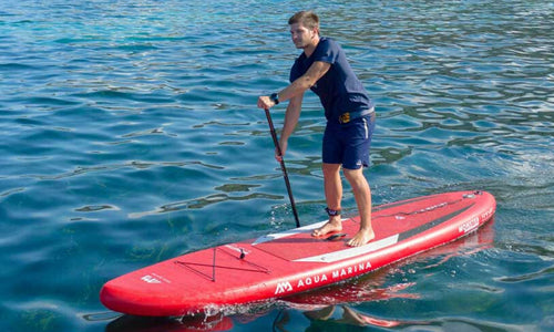 Aqua Marina Monstruo 2021