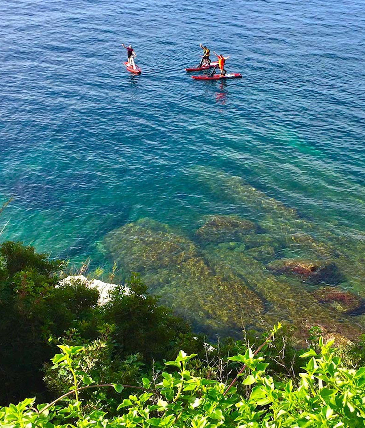 redshark fiets enjoy sup