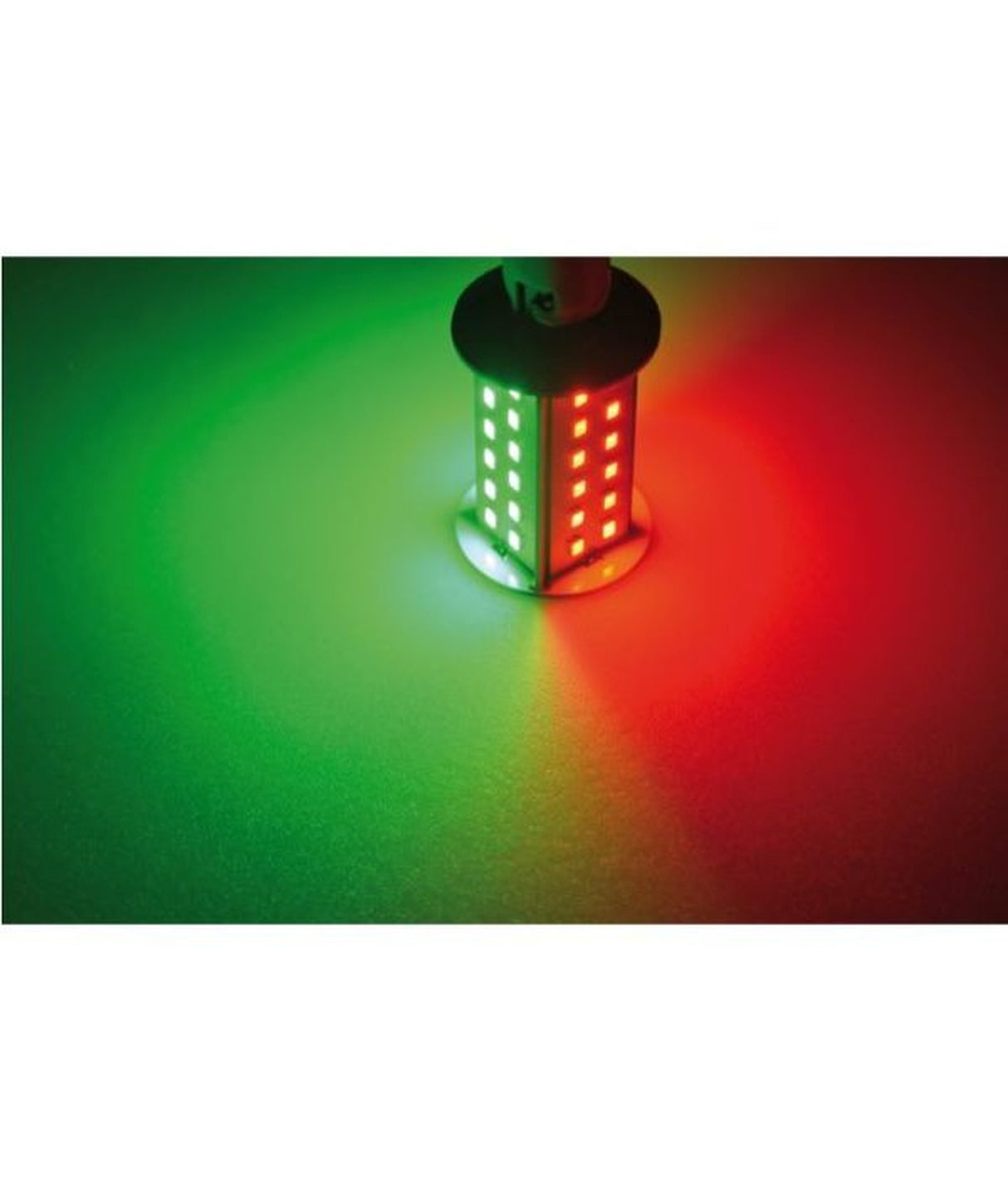 Talamex lampada LED LED48 10-30V BAY15D duocolore