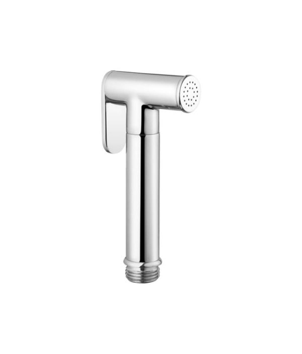 Trem Shower head luxury brass chrome-plated 17486110