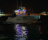 Roswell R1 Firefly 6.5 Tower Speakers White – RGB LED Lighting