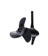 Talamex motore da traina 12V TM66 – timone telescopico