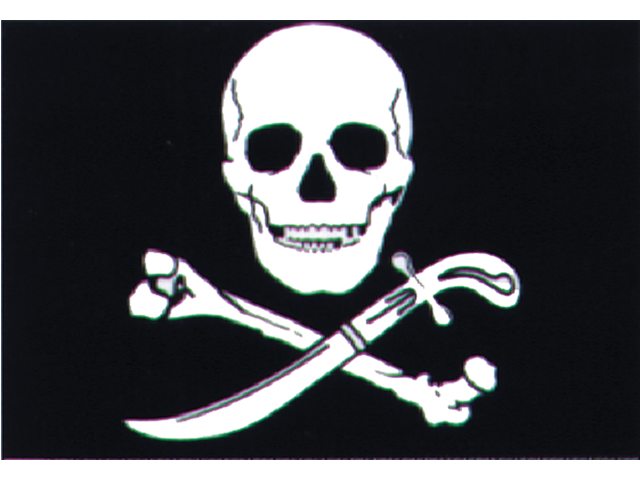 Piraten vlag 20x30