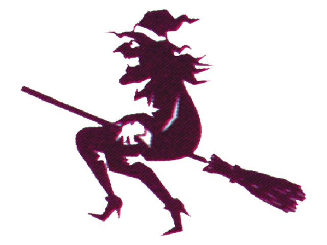 Witch vlag 30x45