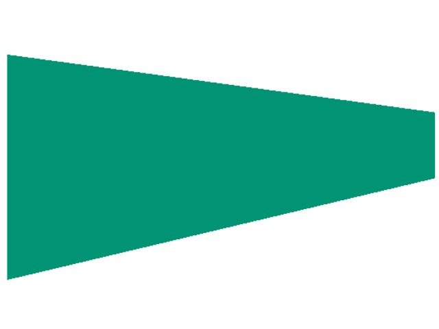 Zoll vlag 75x150x20cm