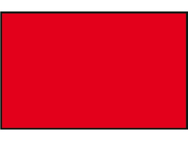 Protest vlag 20x30