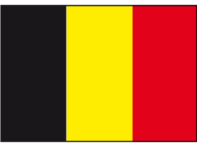 Belgische vlag 20x30