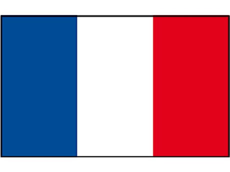 Franse vlag 20x30