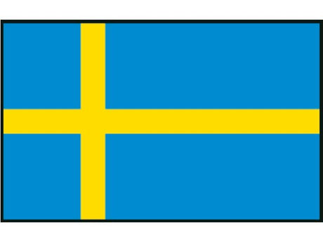 Zweedse vlag 70x100
