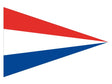 Puntvlag nederland 40x60