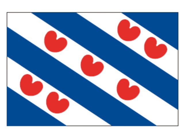 Friese vlag 20x30