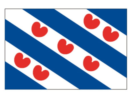 Friese vlag 50x75