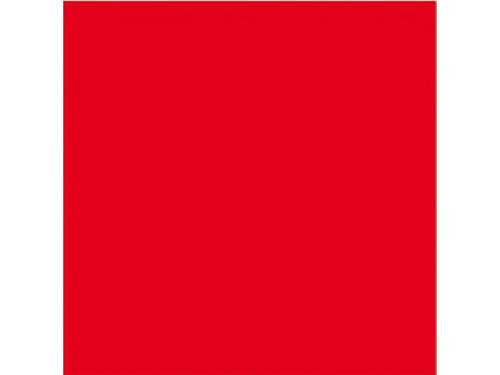 Bodensee noodvlag 60x60