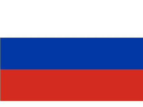 Russische vlag 20x30
