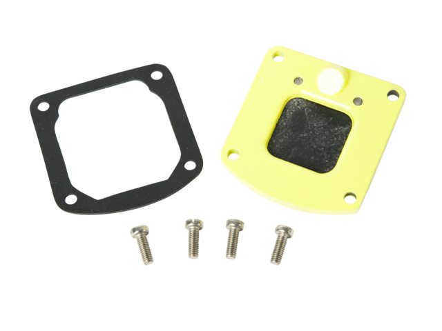 AS3723 Outlet Valve Plate Asy G 10