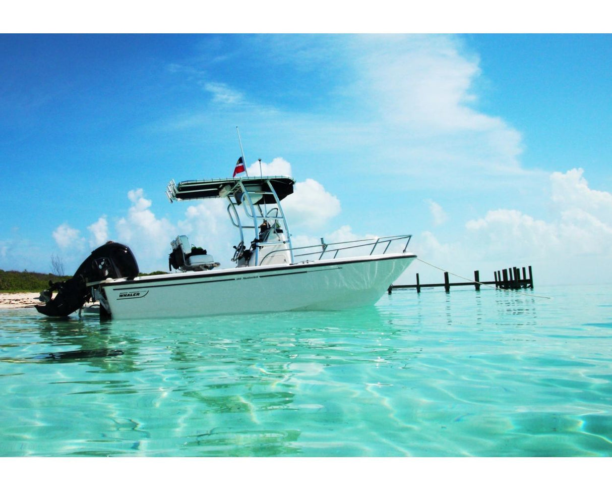 Fishmaster Pro Series Folding T-Top White – for center console