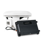 Roswell R1 10 subwoofer package 25.4 cm – set with R1 550.2 amplifier